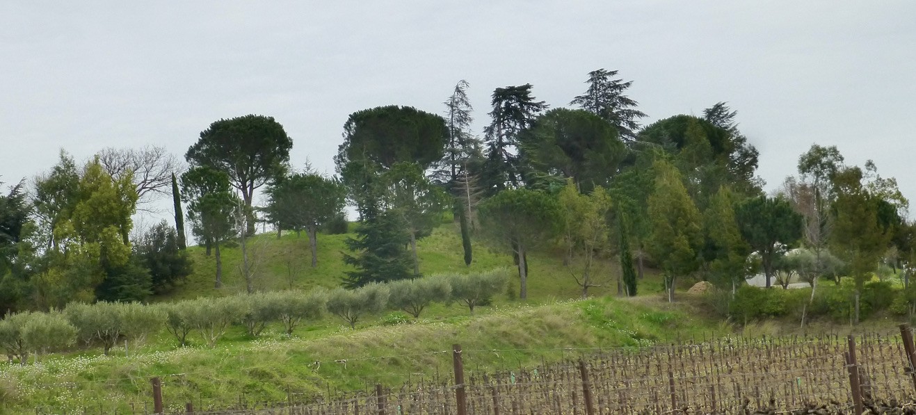 Arrière de la colline Nauriel
