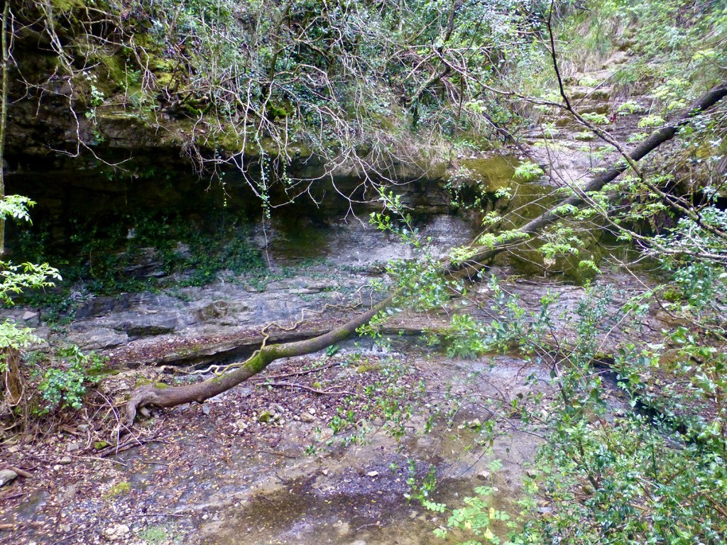 Ruisseau de Font Amans à sec