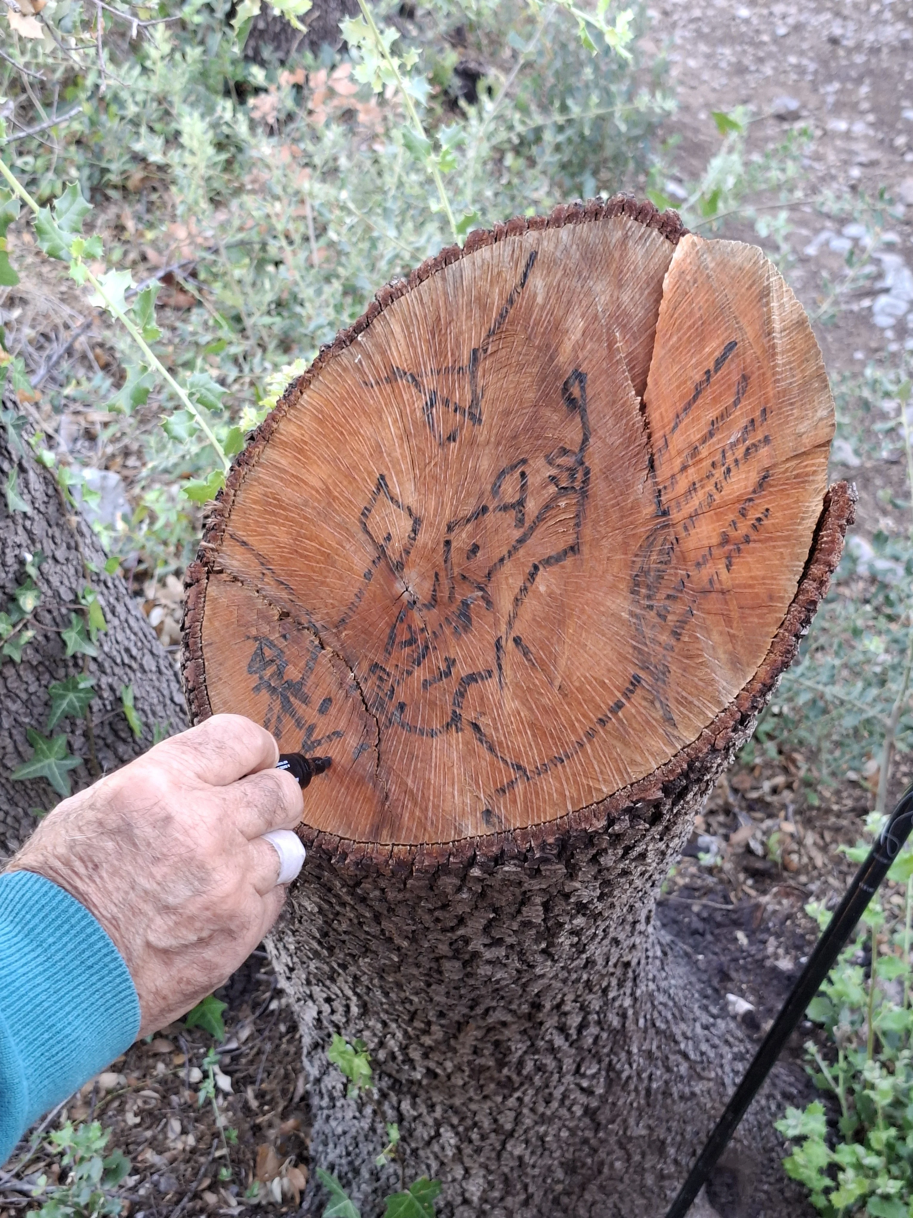 Une création de Rahmat.