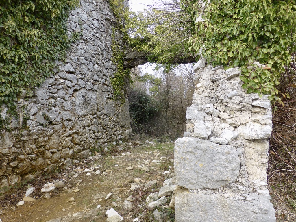 Ruines du Mas Larret