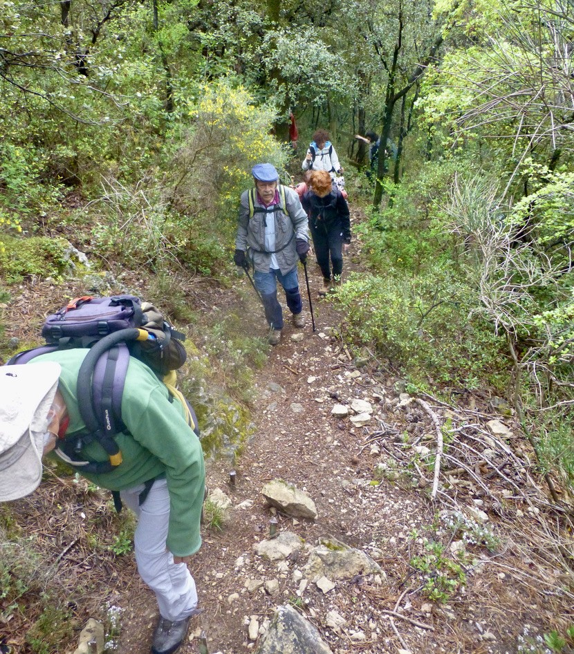 Longue montée sur le Larzac