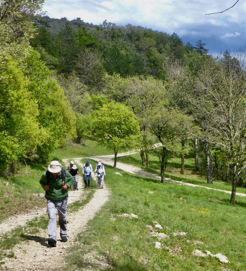 Vers la descente sur Soubès