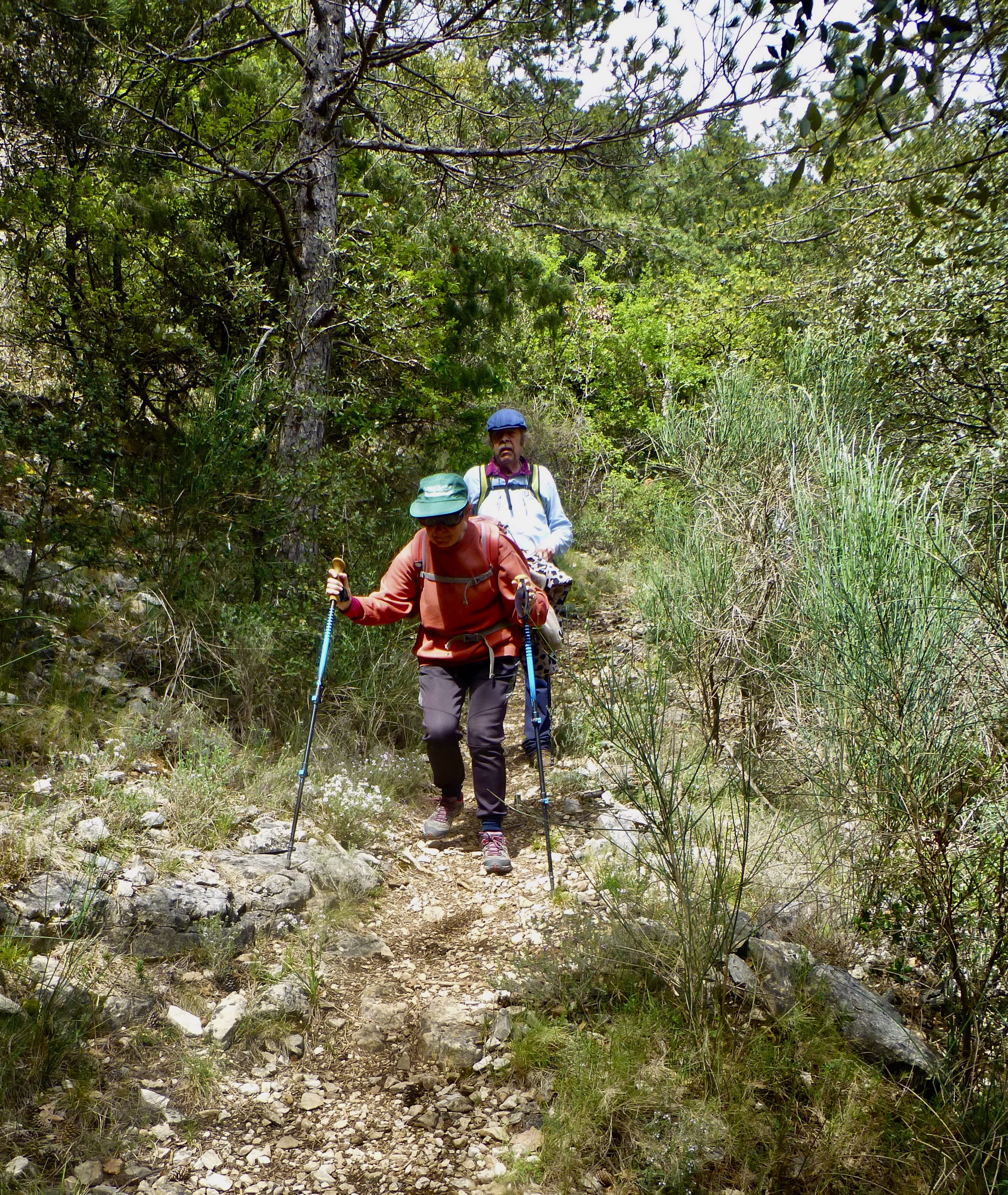 Longue descente sur 300 de dénivelé
