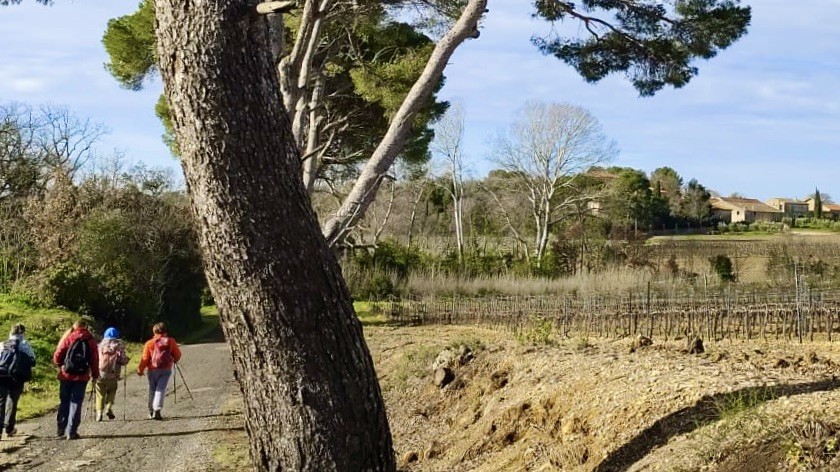 Photo5